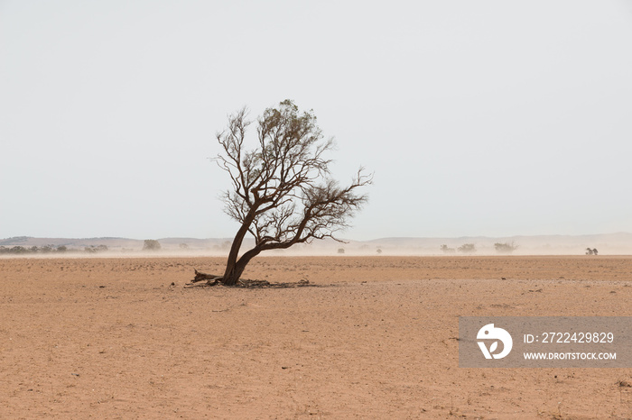 Sand storm in remote Australian agricultural farm field. Climate change or global warming concept for drought as a natural disaster.