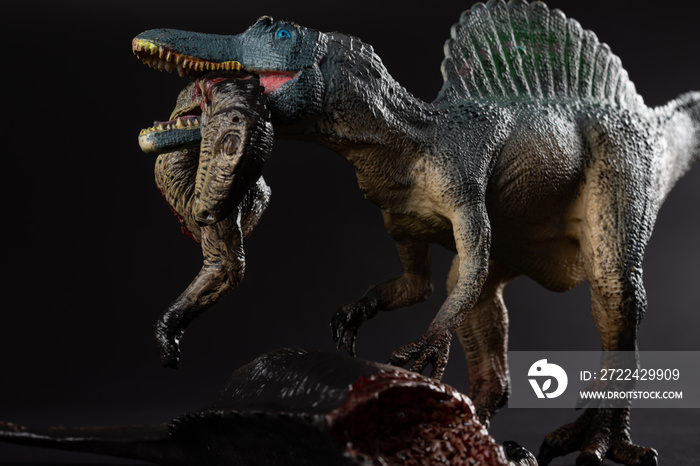 spinosaurus biting a dinosaur body on dark background close up