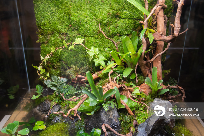 garden with rock and driftwood in glass container.