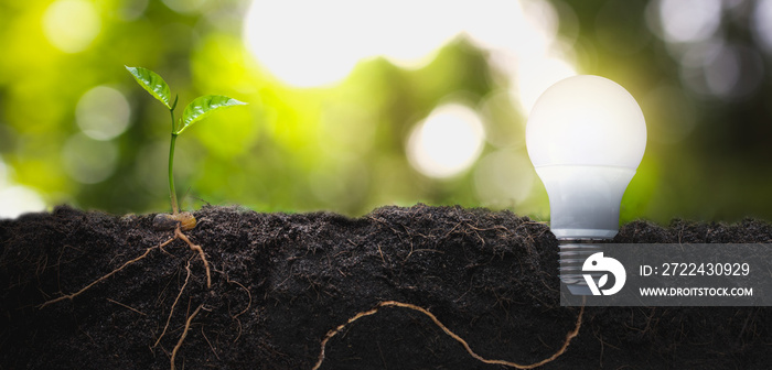 Young seedlings with long roots are growing in the soil with the bulbs. energy saving concept for the environment