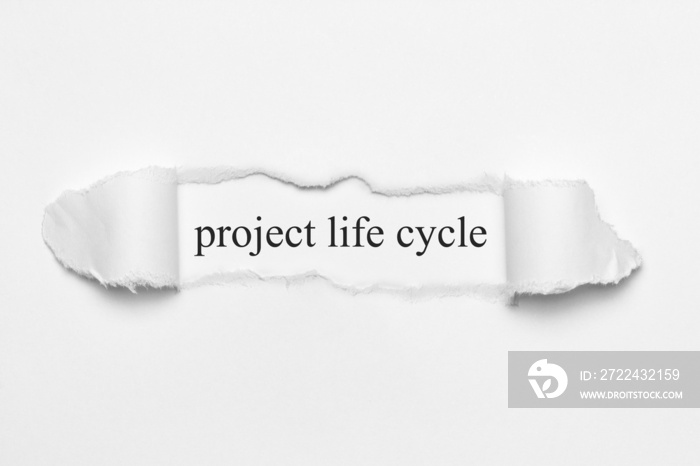 project life cycle