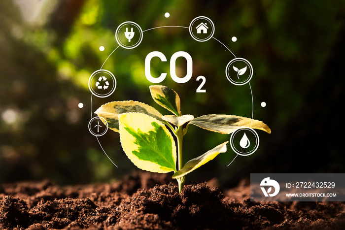 Carbon dioxide emissions, carbon footprint concept