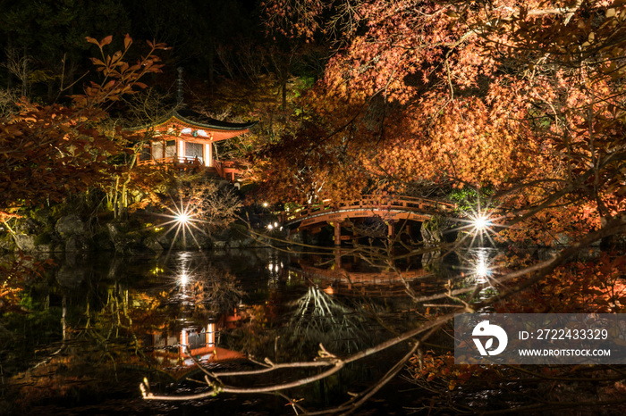 京都 夜の醍醐寺・弁天堂のライトアップされた秋景色