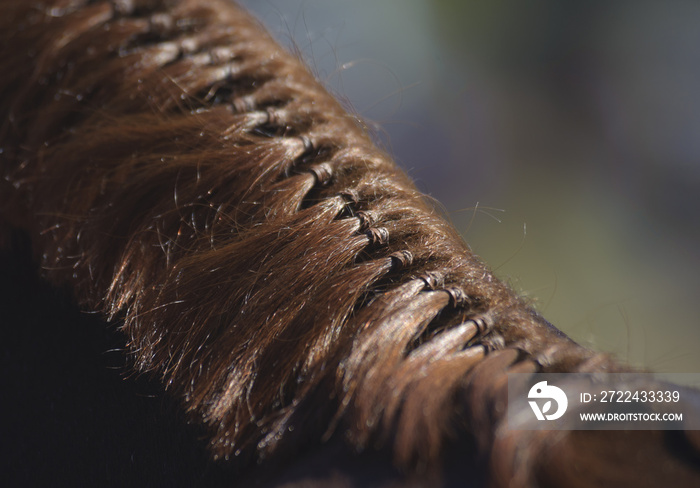 braided horse mane