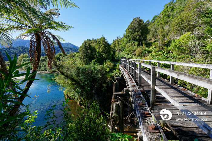 Chasm Creek Walk, a disused timber railway bridge from the coal mining days, Aotearoa / New Zealand.