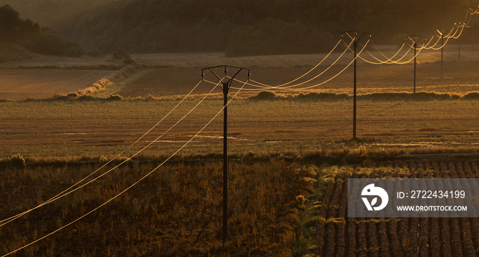 Telegraph or telephone wires in a rural world