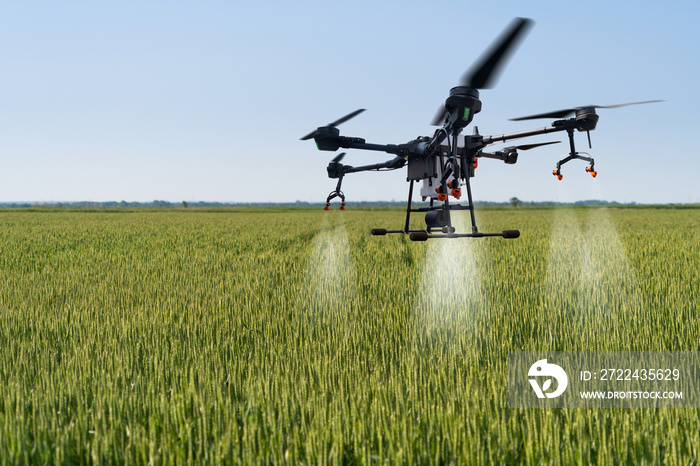 Drone sprayer flies over the wheat field. Smart farming and precision agriculture