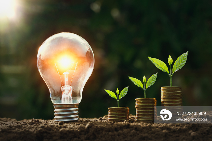 light bulb on soil with young plant growing on money stack. saving finance