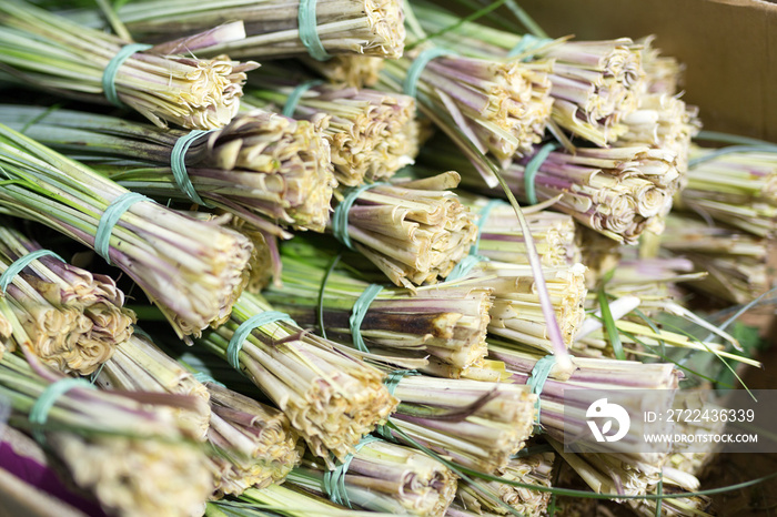 Bundles of decorative green beargrass at wholesale flower shop. Fresh green grass for flower bouquet decoration. floristics service