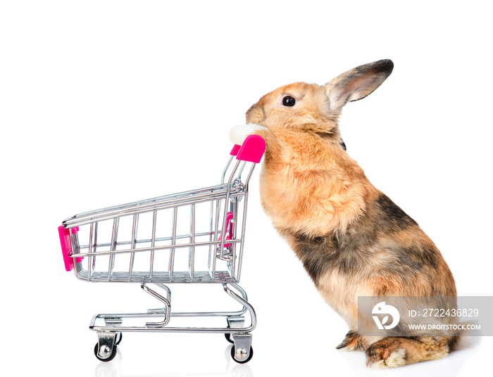 Rabbit with shopping trolley. isolated on white background