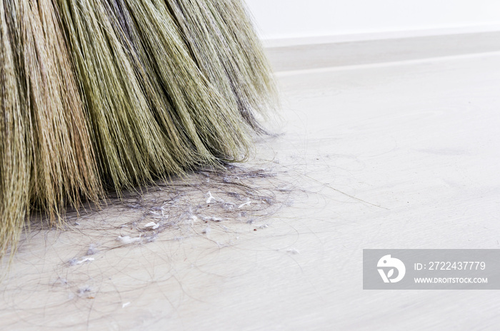 Close up hair and dust in the bedroom