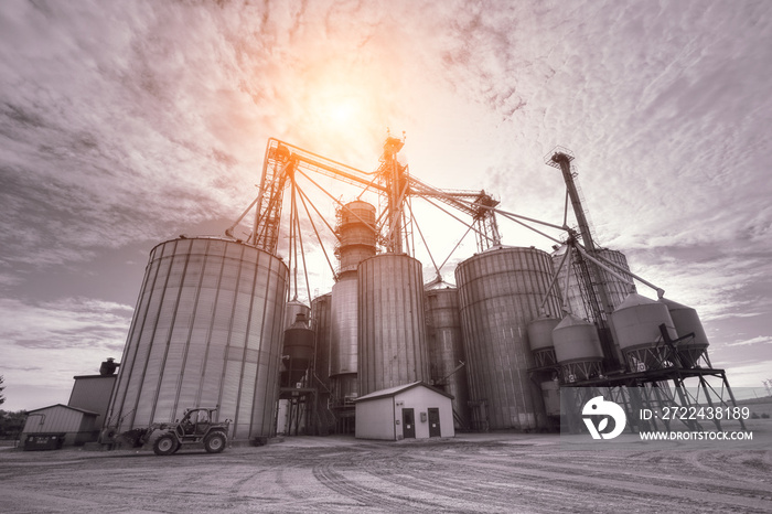 Agricultural Silos in Ontario, Canada