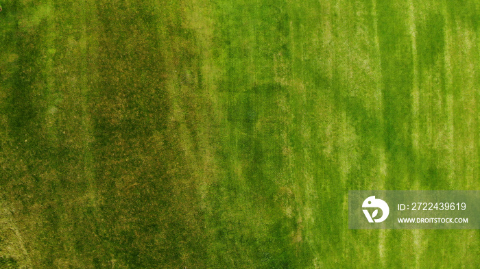 Aerial. Green grass texture background.