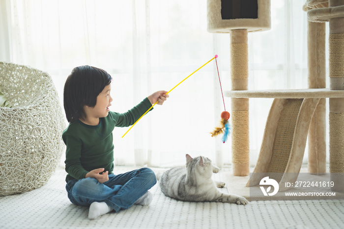 Cute Asian child playing with a cat in living room.