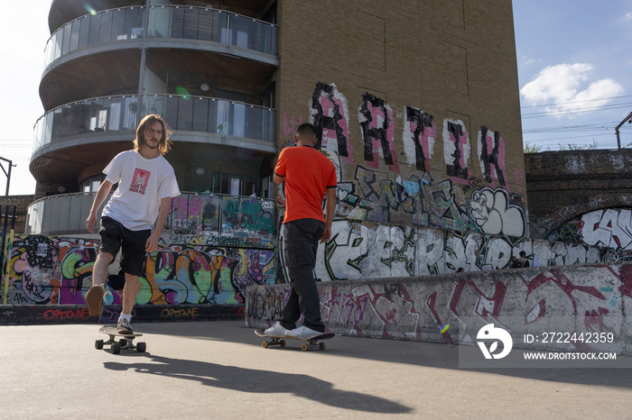 Young men skateboarding in skate park