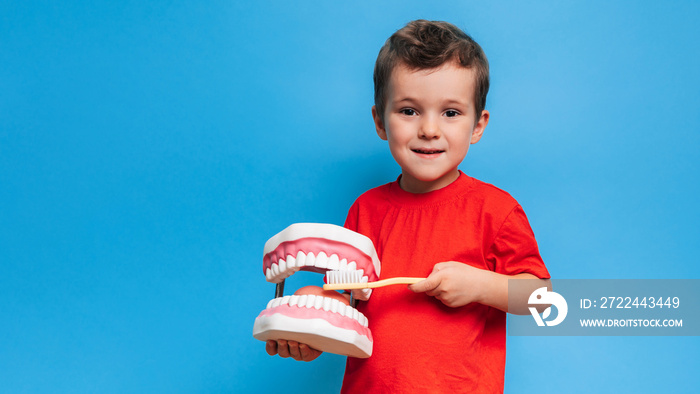 A smiling boy with healthy teeth holds a large jaw and a toothbrush in his hands on a blue isolated background. Oral hygiene. Pediatric dentistry. Rules for brushing teeth. A place for your text.