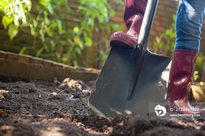 Surface level view of senior woman standing with shovel on dirt