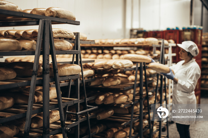 Young female worker working in bakery. She puts bread on shelf.