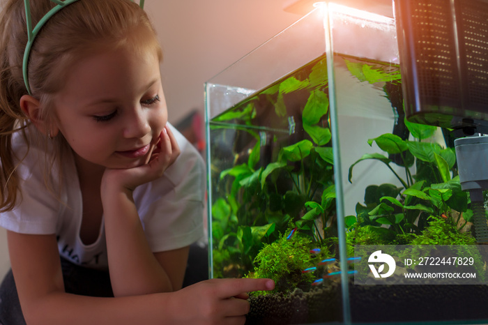 Girl admiring nano aquarium in his house at night