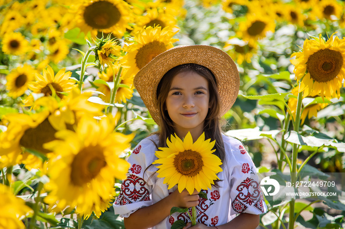 A child in a field of sunflowers in an embroidered shirt. Ukraine Independence Day concept. Selective focus.