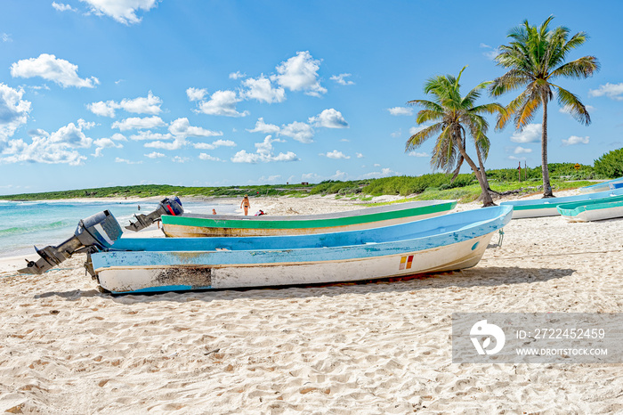 Local wood fishing boats on tropical beach near palm trees