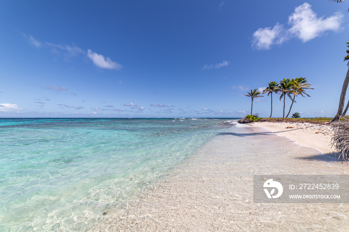 Saint Vincent and the Grenadines, Petit Tabac, Tobago Cays, West Indies