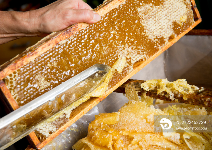 Extracting honey from honeycomb concept. Close up view of beekeeper cutting wax lids with hot knife from honeycomb for honey extraction.