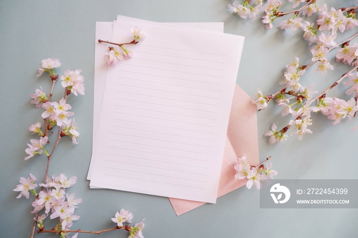 Cherry blossoms decoration with blank letter paper. Hello spring background. Spring message, Cherry blossom and letter on green background.