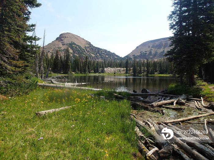 Hiking in Uinta National Forest in the Wasatch Mountains of Utah