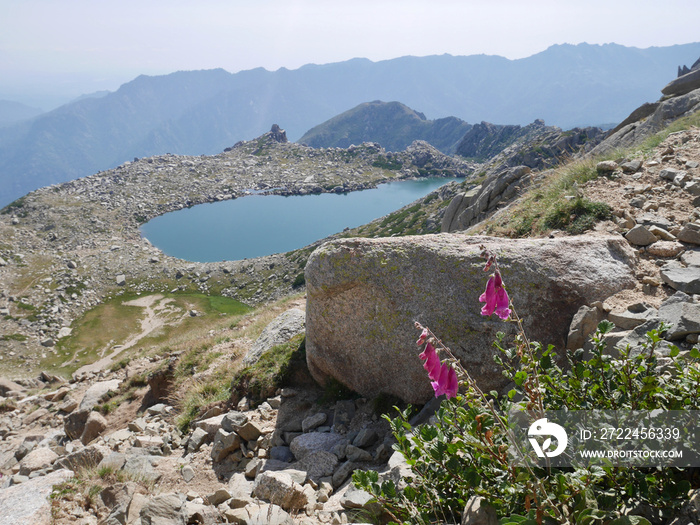 Bastiani lake at Monte Rotondo, Corsica, France.