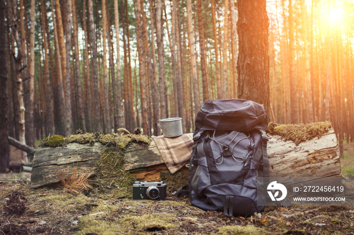 Tourist backpack, metal mug, camera in the forest. Concept of a hiking trip to the forest or mountains