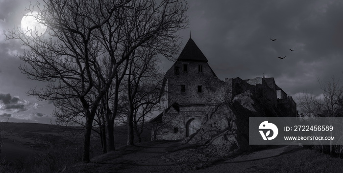 Ruins of castle Tocnik in mystery moonlight. Czech Republic.