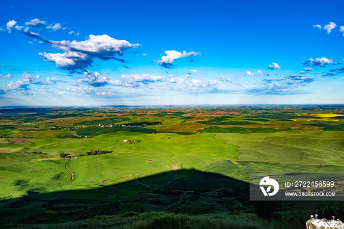 Steptoe Butte Vista 11