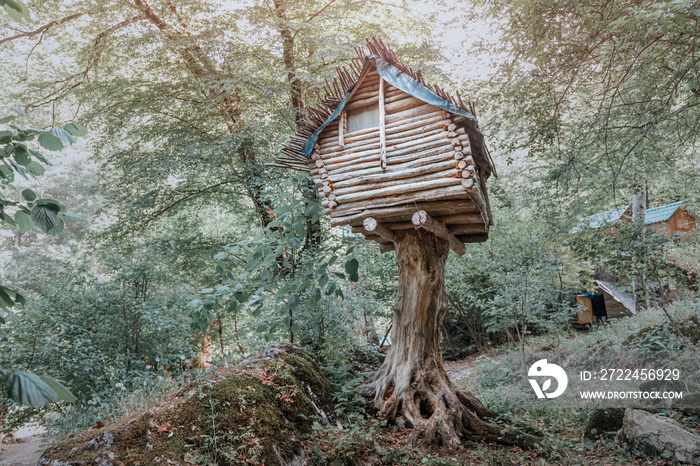 Mystical and fairy tale tree house, reminiscent of the frightening dwelling of Baba Yaga on chicken legs in the forest