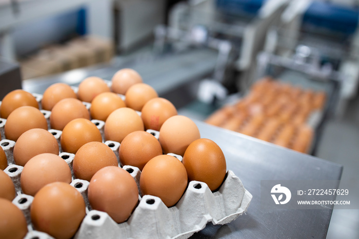 Egg farm and food processing factory. Close up view of egg crate with eggs and packing machine in background.