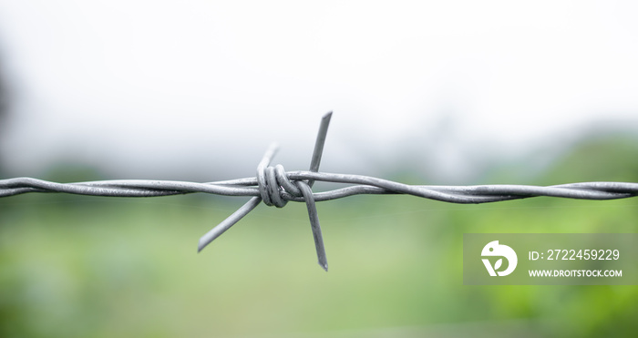 Steel barbed wires on nature backdrop. Human rights and social justice abstract concept with blurry barbed wire fence. Holocaust remembrance day for victims of torture.