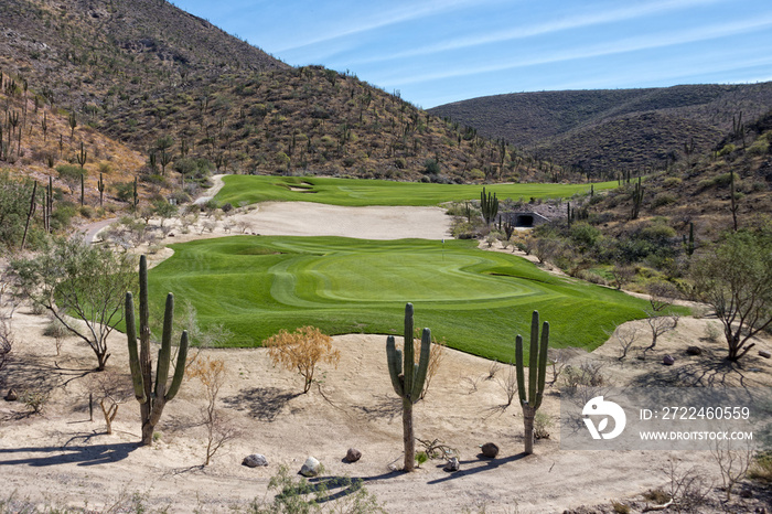 desert golf course green