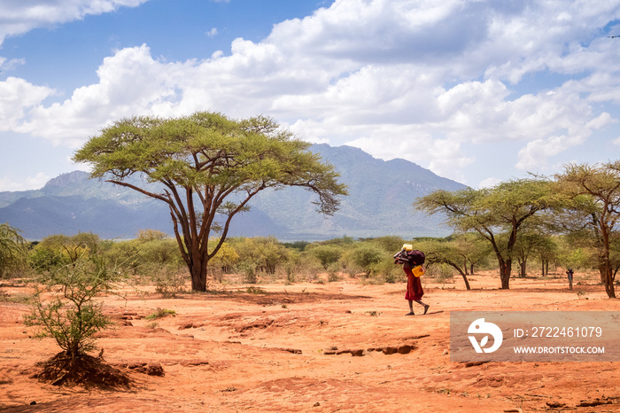 Woman walking through savanna, Kenya