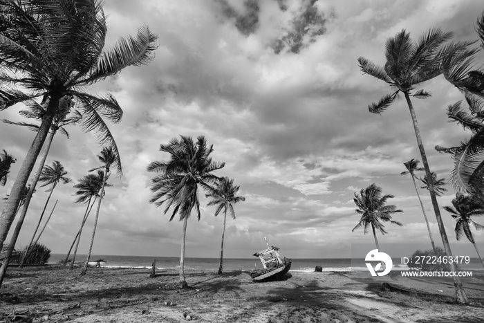 Black and white scenery of fisherman village with coconut tree, boat and beach.