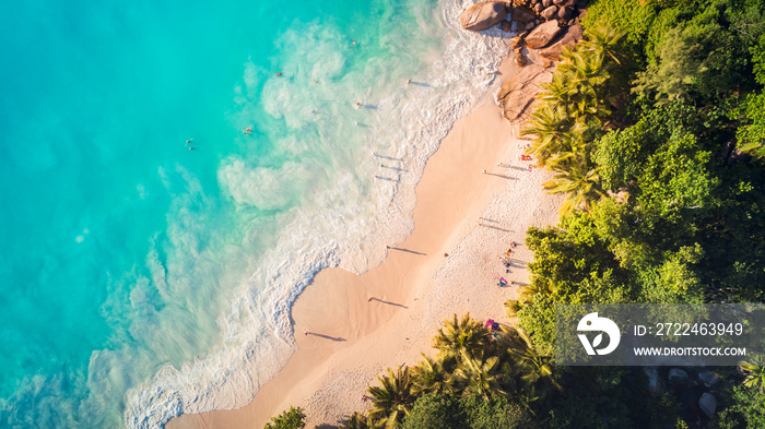 Aerial top view on blue sea and sand palm beach with people, palm tree and ocean, vacation travel concept