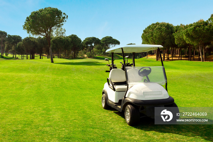 Golf cart in fairway of golf course with green grass field with blue sky and trees