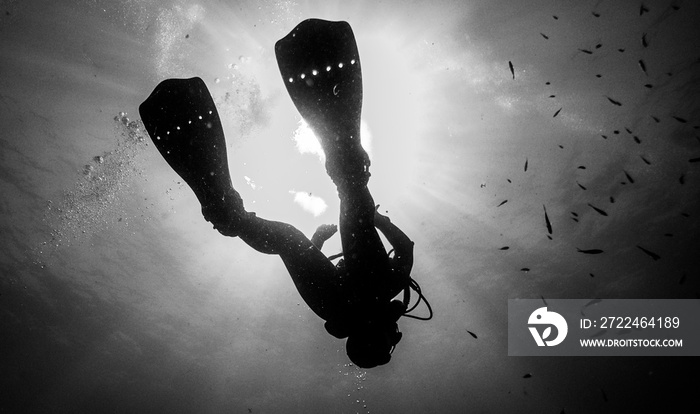 Scubadiving. Scuba divers diving at the shipwreck.