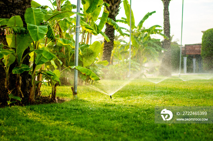 Modern automatic sprinkler working on grass irrigation. Sprinkler system watering the lawn