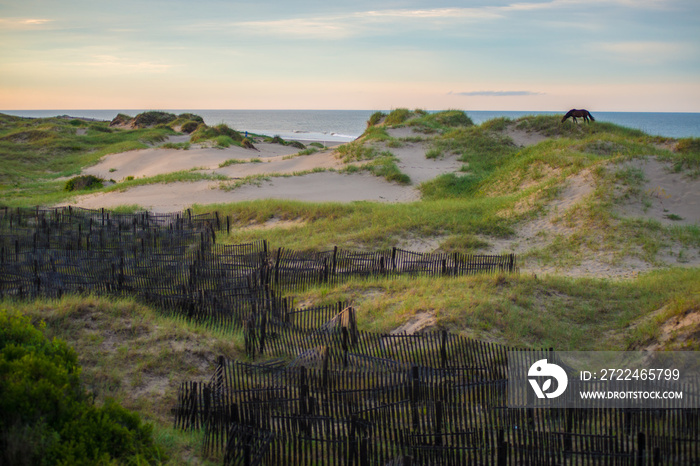 Outer Banks North Carolina