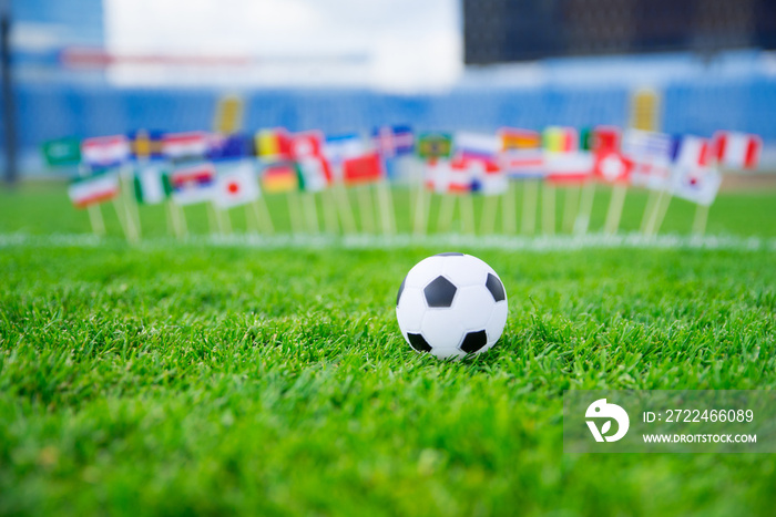 Flags of all football nations on green grass. Football ball, Fans, support photo, edit space