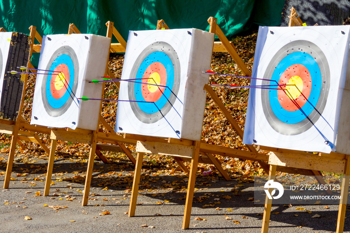 Archery Target. Autumn