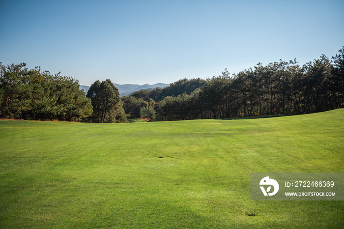 Golf course landscape with short green grass, some hills and trees.