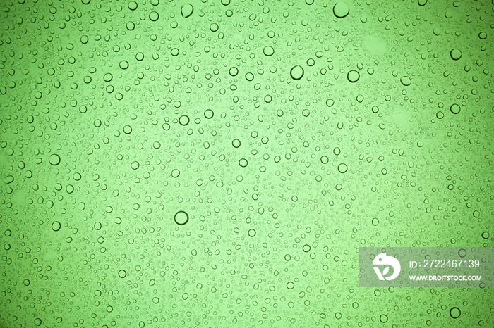 Rain droplets on green glass background, Water drops on green glass.