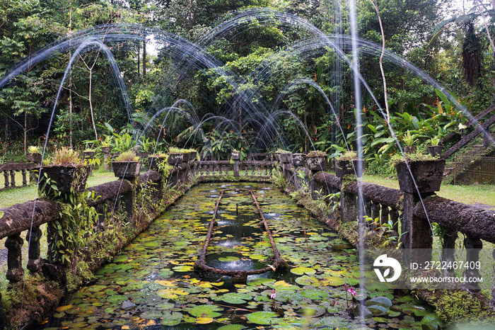 Lotus pool with water fountains at Paronella Park, a castle in the tropical jungle of north Queensland, Australia.