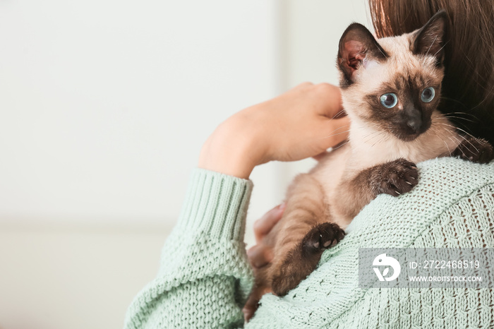 Cute Thai cat with owner at home